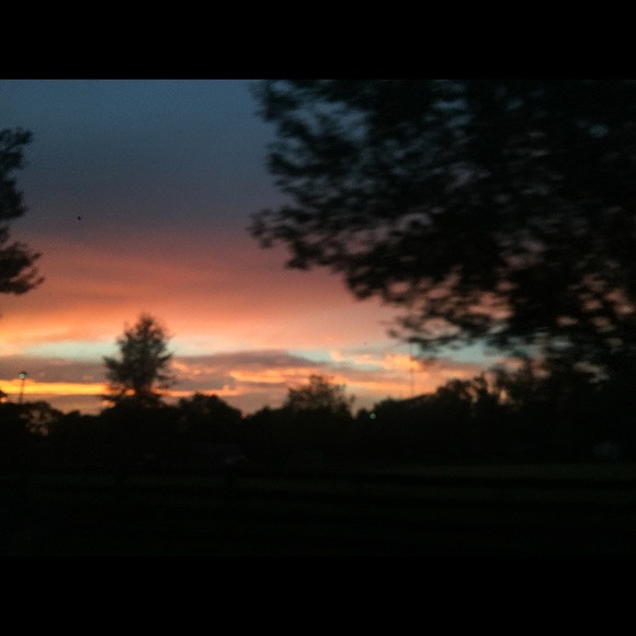 Meet your Posher, Annalise - Picture 1 of 1